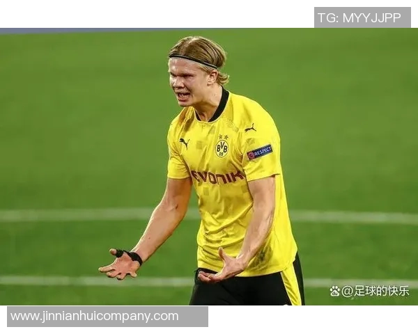 哈兰德独占鳌头欧洲世预赛最佳射手荣誉加身16球成就传奇